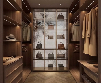 Modern Clothes Storage Area-ID:721848012