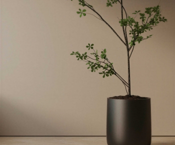 Modern Ground Green Plant Potted Plants-ID:301706083