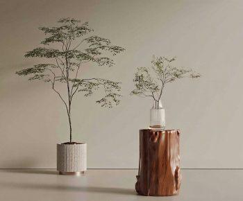 Modern Ground Green Plant Potted Plants-ID:546286117