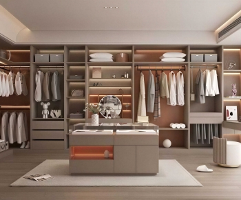 Modern Clothes Storage Area-ID:538981082