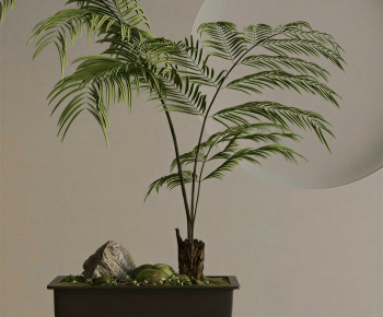 New Chinese Style Bonsai-ID:271337997