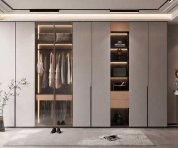Modern Clothes Storage Area-ID:818217995