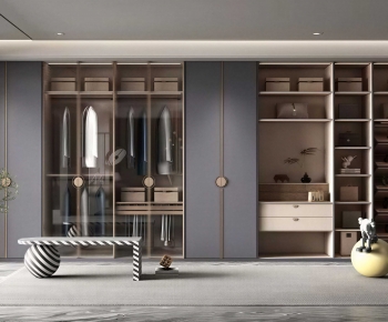 Modern Clothes Storage Area-ID:314420949