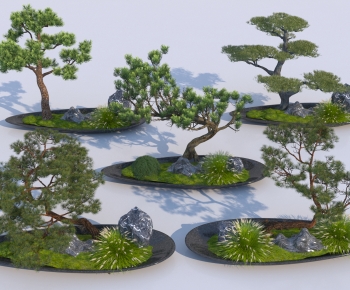 Modern Plant Landscaping-ID:476962093