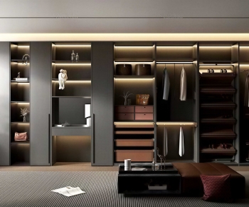 Modern Clothes Storage Area-ID:451354989