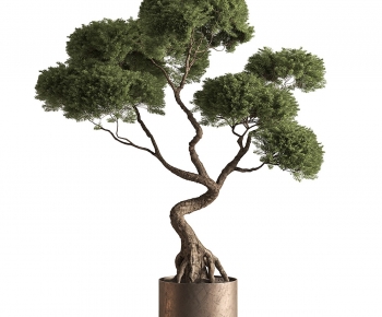 Modern Ground Green Plant Potted Plants-ID:115267049