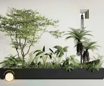 Modern Flower Bed, Flower Bowl, Flower Box-ID:240883119