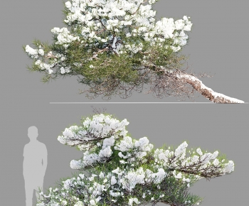 Modern Tree-ID:353702078