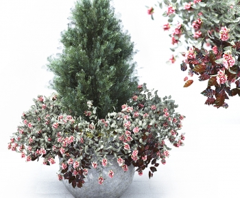 Modern Potted Green Plant-ID:198399073