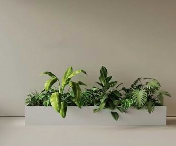 Modern Flower Bed, Flower Bowl, Flower Box-ID:826883089