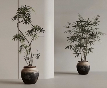 New Chinese Style Ground Green Plant Potted Plants-ID:223484045