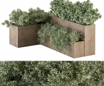 Modern Flower Bed, Flower Bowl, Flower Box-ID:972639088