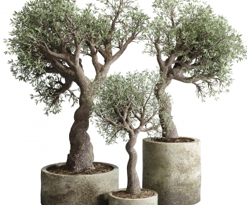 Modern Ground Green Plant Potted Plants-ID:621496926