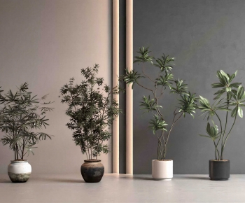 Modern Ground Green Plant Potted Plants-ID:622431047