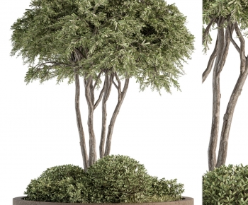 Modern Potted Green Plant-ID:815958989