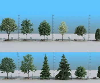 Modern Tree-ID:148700002