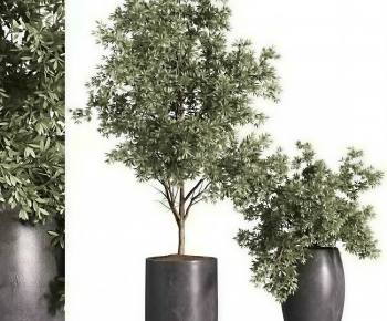 Modern Ground Green Plant Potted Plants-ID:124706988