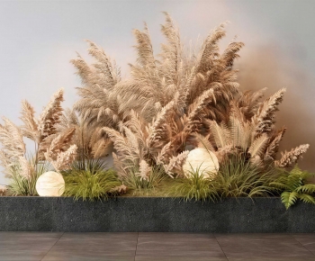 Modern Plant Landscaping-ID:924949885