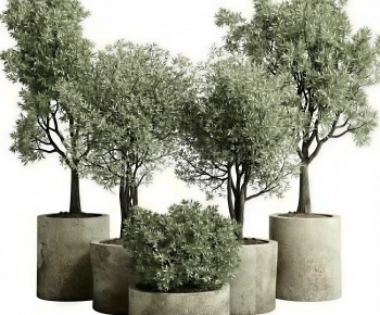 Modern Ground Green Plant Potted Plants-ID:574400493