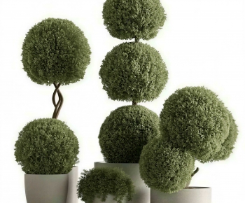 Modern Ground Green Plant Potted Plants-ID:228596935