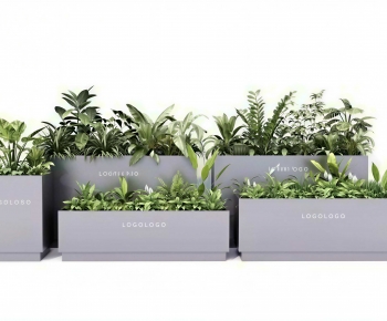 Modern Flower Bed, Flower Bowl, Flower Box-ID:898025998