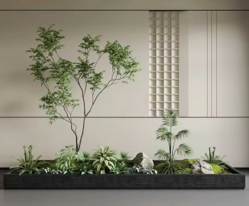 Modern Plant Landscaping-ID:346112019