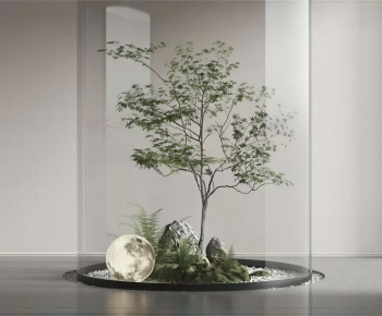 Modern Plant Landscaping-ID:244527106