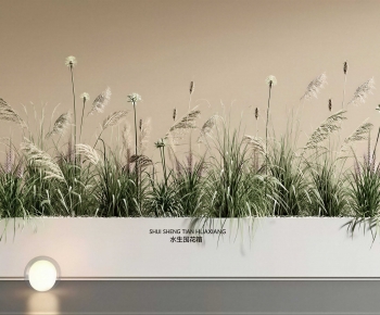 Modern Flower Bed, Flower Bowl, Flower Box-ID:135829934