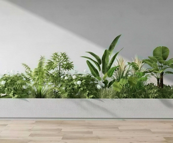 Modern Plant Landscaping-ID:631984003