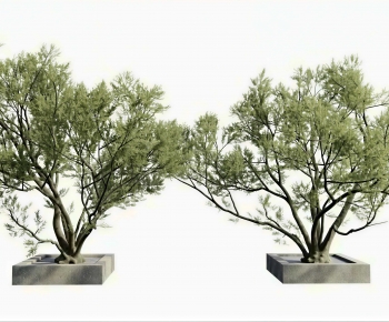 Modern Tree Pool-ID:850332029