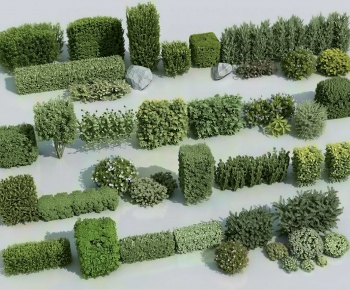 Modern Shrubbery-ID:993978984