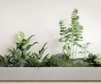 Modern Plant Landscaping-ID:229749743