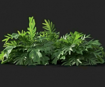 Modern The Grass-ID:253791091