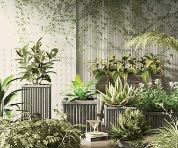 Modern Ground Green Plant Potted Plants-ID:568969265