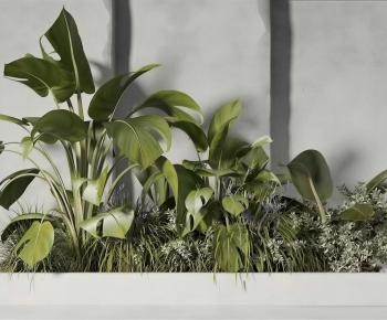 Modern Plant Landscaping-ID:724000914