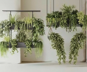 Modern Chlorophytum Comosum-ID:732709885