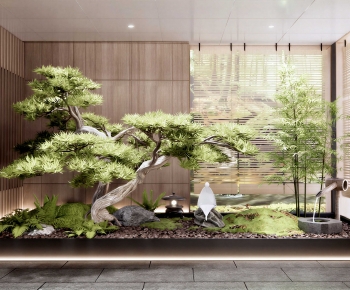 Japanese Style Plant Landscaping-ID:185400964