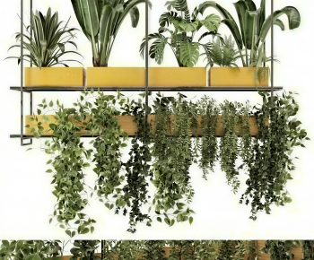 Modern Potted Green Plant-ID:574117908