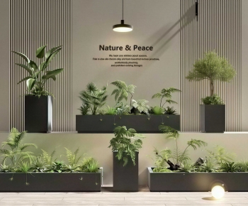 Modern Flower Bed, Flower Bowl, Flower Box-ID:111423974