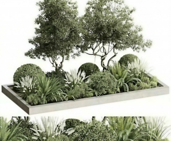 Modern Plant Landscaping-ID:158140907