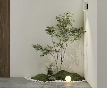 Modern Plant Landscaping-ID:532801288