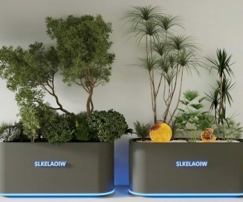 Modern Flower Bed, Flower Bowl, Flower Box-ID:356607912