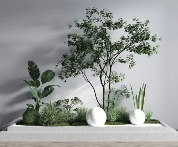 Modern Plant Landscaping-ID:781892063