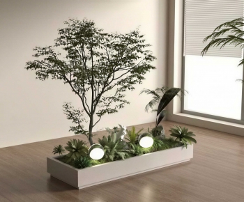 Modern Plant Landscaping-ID:119645129