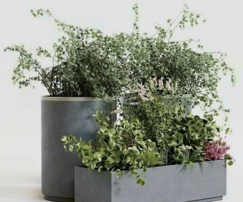 Modern Flower Bed, Flower Bowl, Flower Box-ID:889499909