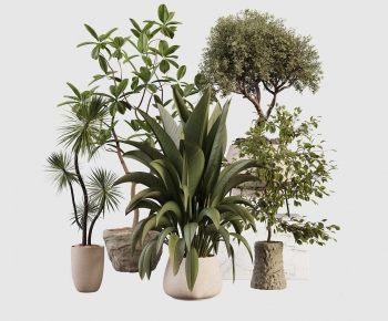 Modern Ground Green Plant Potted Plants-ID:336424114