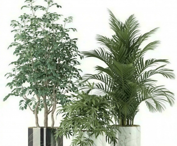 Modern Ground Green Plant Potted Plants-ID:207151892