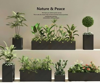 Modern Flower Bed, Flower Bowl, Flower Box-ID:941855919