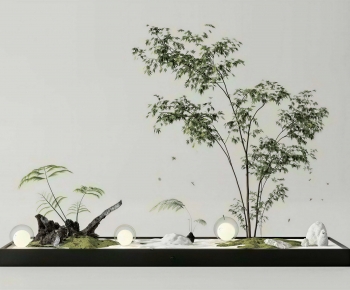 Modern Plant Landscaping-ID:239146951