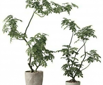 Modern Ground Green Plant Potted Plants-ID:132654918